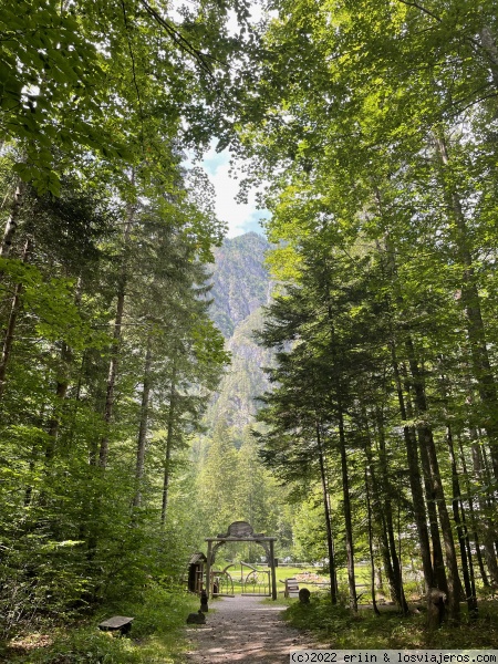 Día 11: Logarska Dolina + Carretera panorámica de Solčava - En ruta a Eslovenia (en construcción) (2)