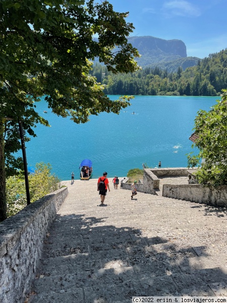 Isla de Bled
Isla de Bled
