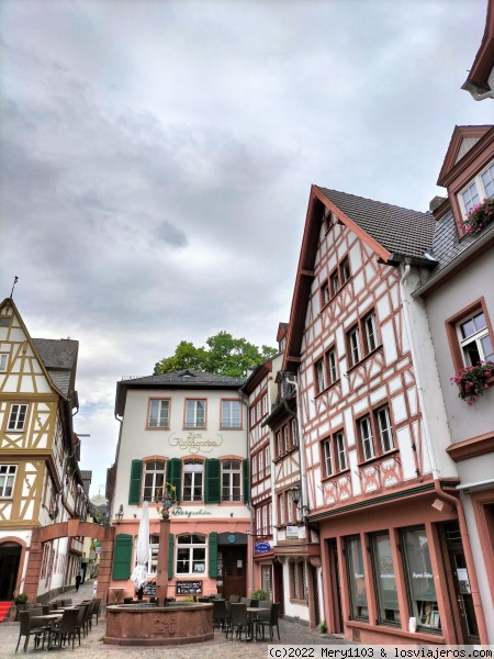 Plaza Kirschgarten
Mainz
