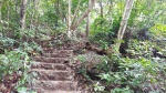 Escalones de piedra por el bosque en el camino al mirador Ngu Lan