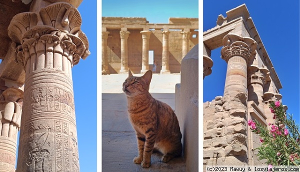 Philae
Columnas del Complejo de Philae
