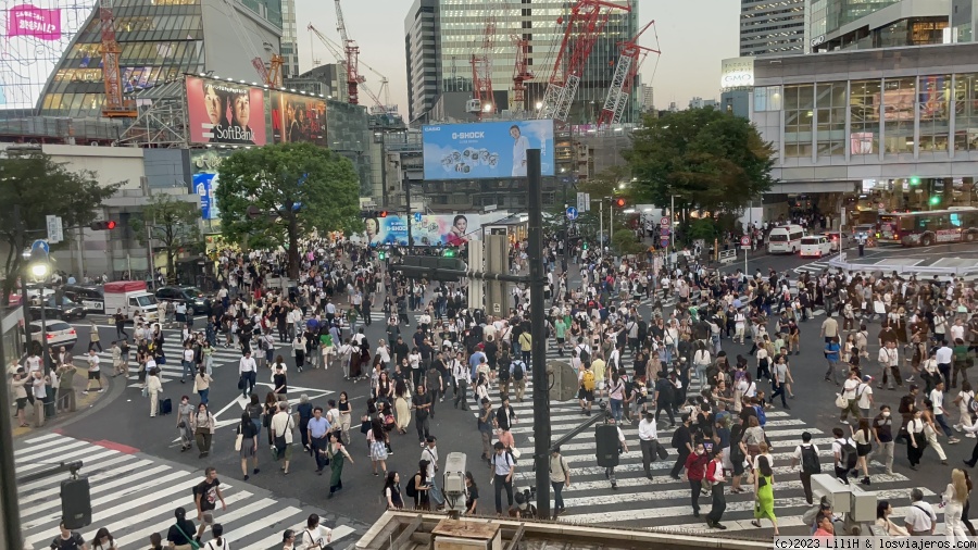 Japón en 15 días, final de julio 2023. - Blogs de Japon - 2do día en Tokio. (3)