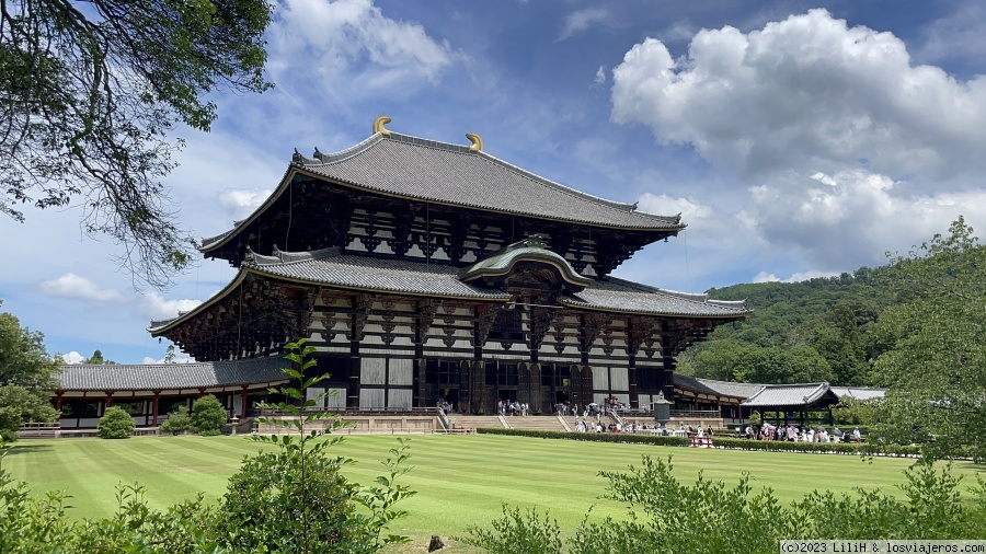 Japón en 15 días, final de julio 2023. - Blogs de Japon - 8vo día Nara y Kioto. (2)