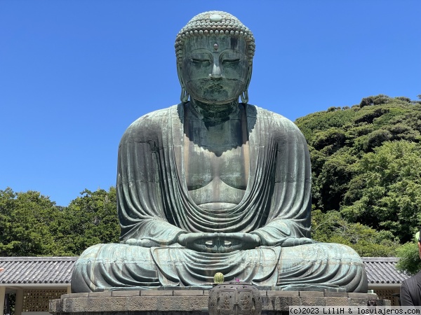 El gran Buda de Kamakura
El Buda transmite paz , te sientes pequeño al lado de está figura tan serena.
