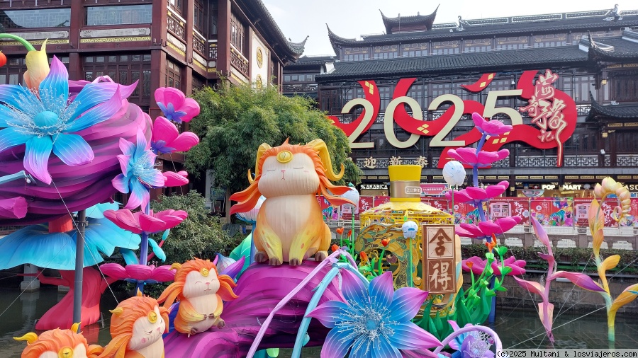 Suzhou y Shanghai - Fin de Año 2024 (China) 9 días. - Blogs de China - Etapa 5 - Shanghai (5 noches) part 1 (3)