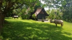 Black House Chiang Rai
