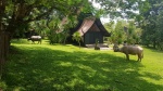 Black House Chiang Rai