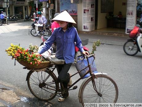 Mujer en bici Hanoi Vietnam
Hanoivietnam 2008
