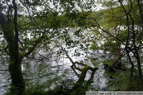 ISLA DE INCHMAHOME PRIORY
Bonito paseo por la isla con suis árboles centenarios cayendo hacia el lago. Un ambiente misterioso  te acompaña en todo el recorrido
