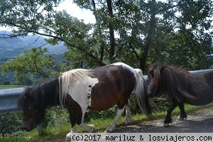 Por el valle del Baztan - Blogs of Spain - PASEO POR BERITZ, TRUCHAS EN INFERNUKO ERREKO Y TALOS EN MAYA (2)