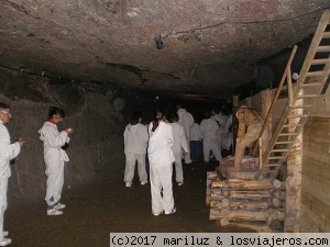 MINAS DE SAL DE HALLEIN
Visita a unas minas de sal cercanas a Salzburgo
