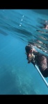 Underwater fishing Saovicentetours