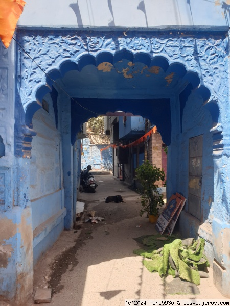Jodhpur: la ciudad azul
Una callejuela de la ciudad de Jodhpur, las casas encaladas de azul, que expresan la cotidianidad y la belleza de la ciudad.
