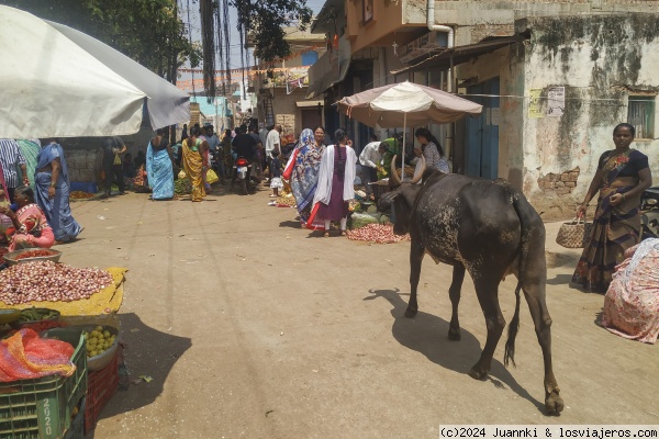 India-dia3-1
Foto mercado Badami
