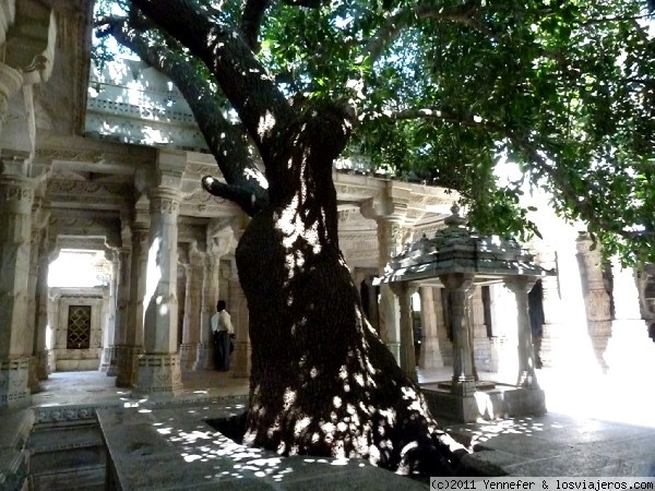 Ranakpur (Rajastán, Norte de la India): visita, transporte