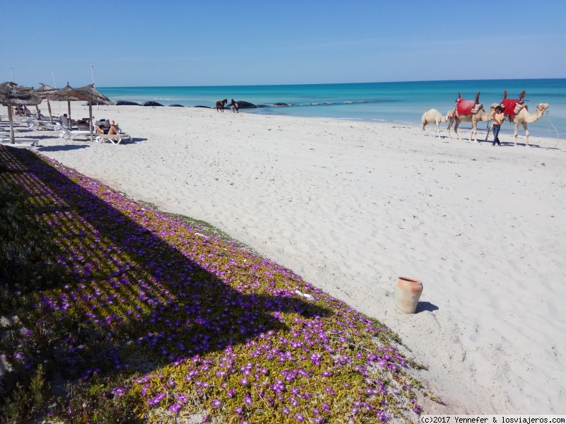 Túnez y sus destinos de Playa
