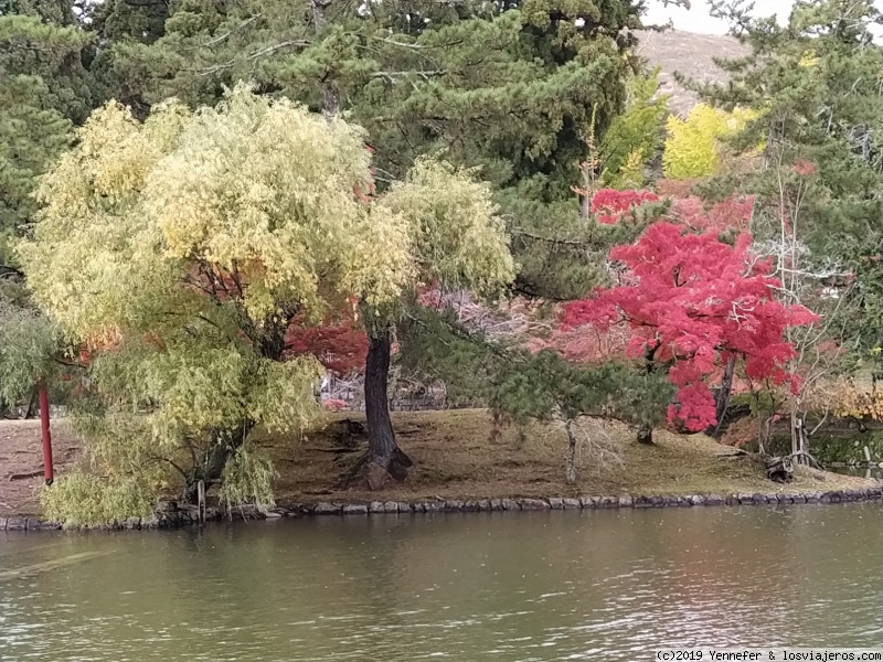 Foro de Cambio: Momiji en Nara