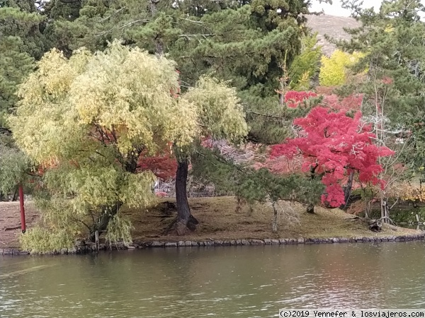 Momiji en Nara
Momiji es el nombre que se da al cambio de color de las hojas de los árboles en otoño.
