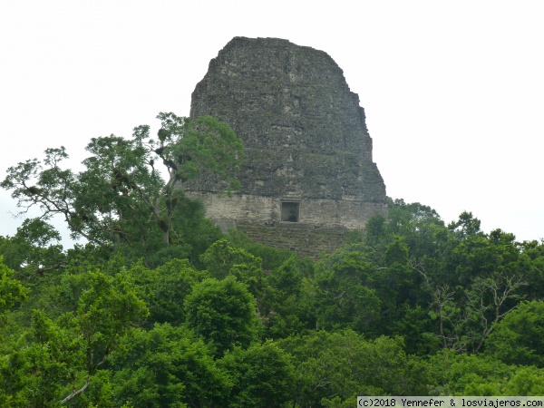 Templo de la Serpiente Bicéfala en Tikal - Guatemala
También llamado Templo IV,se construyó en el 470 d.c. por los mayas. Tiene una altura de 70 metros y es el mas alto del yacimiento arqueológico de Tikal.
