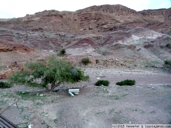 Paisaje de la Reserva de Dana. Jordania
Vista desde la azotea del Feynan Ecolodge en Dana
