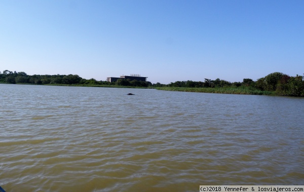 Lago Tana - Etiopía
Lago Tana - Etiopía
