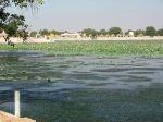 Lago Sagrado en Kolayat (India)