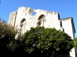 Restos de la Colegiata de Santa Maria.- Valladolid