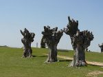 Tres hermanos
Yacimiento romano de Clunia