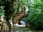 Senda o Ruta del Alba en el Parque de Redes (Asturias)
Senda o Ruta del Alba en el Parque de Redes (Asturias)