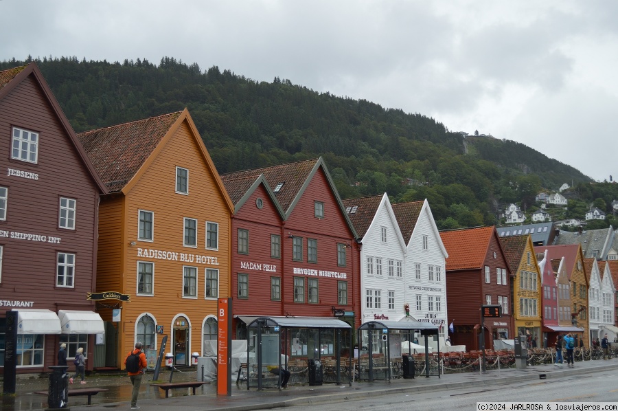 DIA 6-MYRKDALEN-BERGEN - Viajar de libre Noruega 2016 (6)