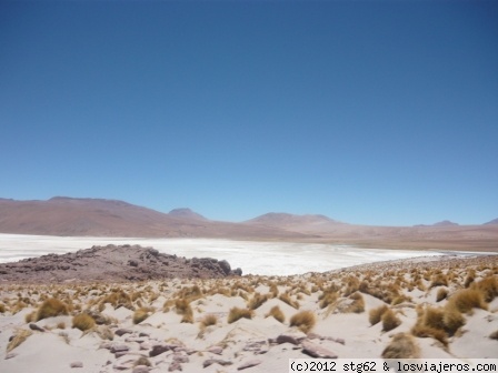 LAGUNA BLANCA - BOLIVIA
Está dentro de la Reserva Nacional de Fauna Andina, en el suroeste de Bolivia, departamento de Potosí. Presenta un color blancuzco debido al alto contenido de minerales.
