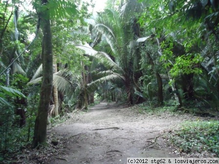 CEIBAL
Sitio arquelógico en plena selva, se llega en barca por el rio Pasión.
