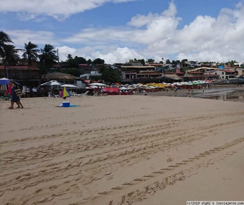 SALVADOR DE BAHIA, PIPA O NATAL - Playas de Brasil