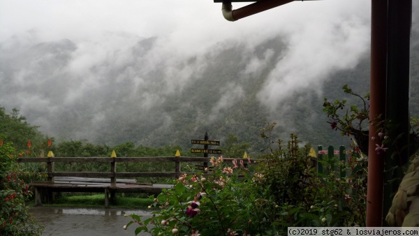 Cocora
Precioso
