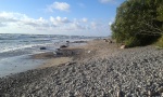 Mar Báltico
Báltico, playa, muchas, piedras