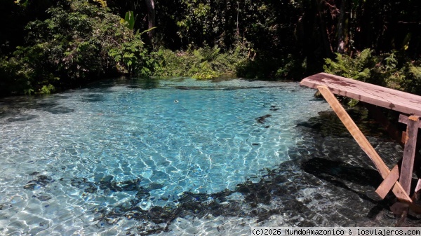 Laguna de las Burbujas
En la amazonia brasilera, al pie de la Sierra del Cachimbo 
