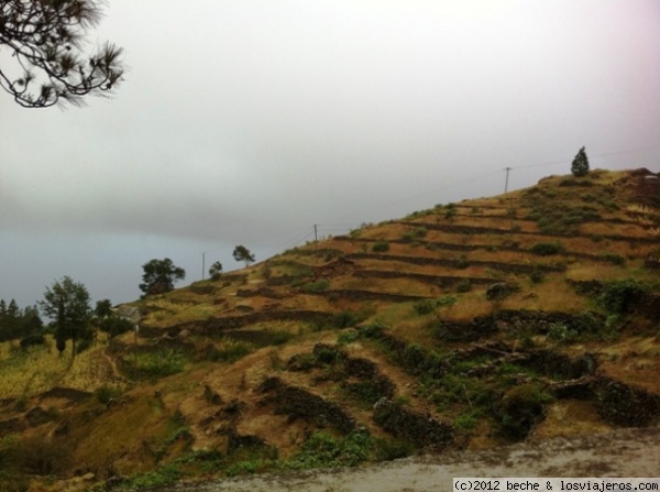 Cultivos en socalcos en Santo Antâo - Cabo Verde
Como la isla es muy montañosa, han construido muretes para hacer estos socalcos y poder cultivar la tierra. Mayoritariamente siembran maíz y feijâos (habitas)
