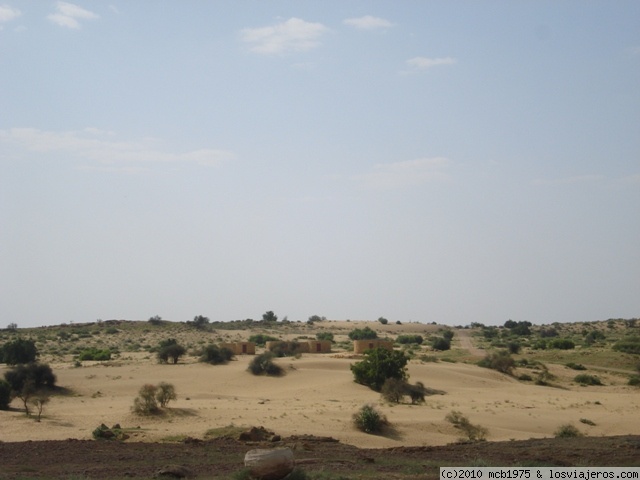 India. Rajastán y Fundación Vicente Ferrer - Blogs de India - Día 6. Jaisalmer (3)