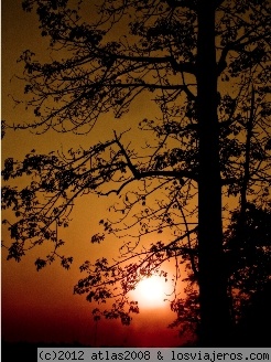 Atardecer en el parque nacional de Chitwan.
Este fue el atardecer que nos regaló ese día el parque de Chitwan, una buena recompensa después de horas caminando.
