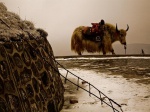 Qinghai.
Qinghai, cima, montaña