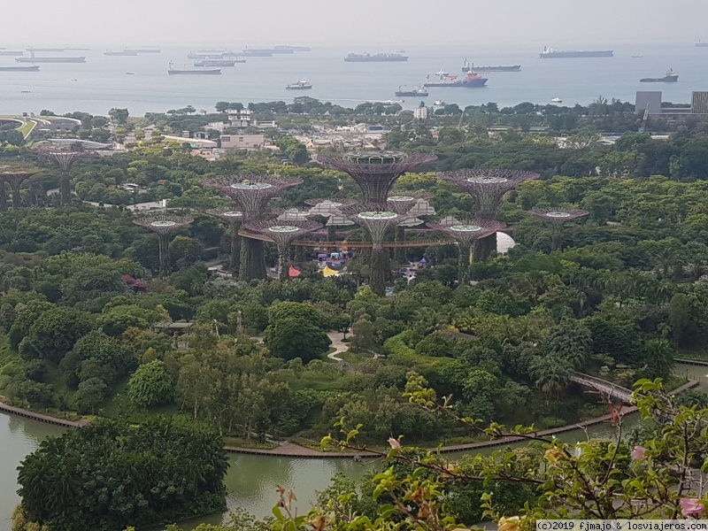 SINGAPUR: MARINA BAY SANDS, MARINA BAY Y MERLION PARK. - Singapur, Borneo y Malasia (5)