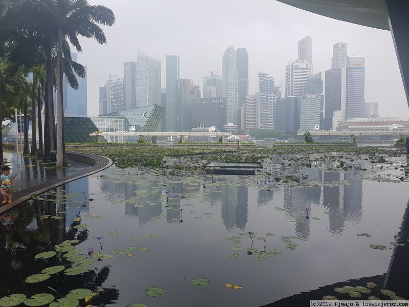 SINGAPUR: MARINA BAY SANDS, MARINA BAY Y MERLION PARK. - Singapur, Borneo y Malasia (3)