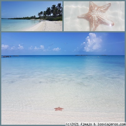 Isla Contoy al llegar
Solo puedes tomar fotos de la estrella de mar desde fuera y sin molestarla
