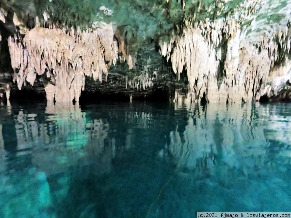 Interior cenote Sac Actún
Interior del cenote Sac Actún

