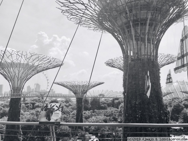 Gardens By The Bay
OCBC Skyway
