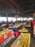 BORNEO: SATOK WEEKEND MARKET Y BAKO NATIONAL PARK.