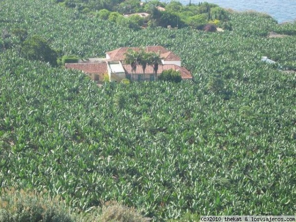 Plataneras
Casa señorial en medio de la finca de platanos.
