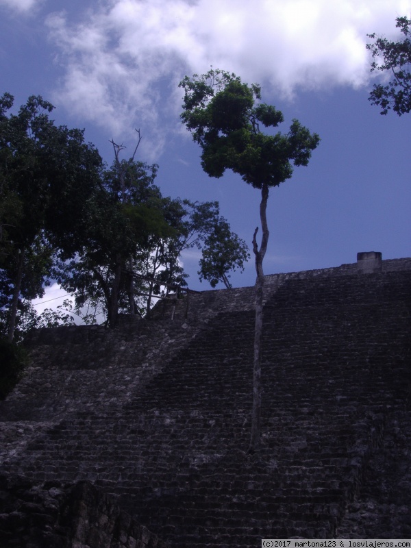 Calakmul: la impresionante Tikal mexicana - PENINSULA DEL YUCATAN A NUESTRO AIRE (2)