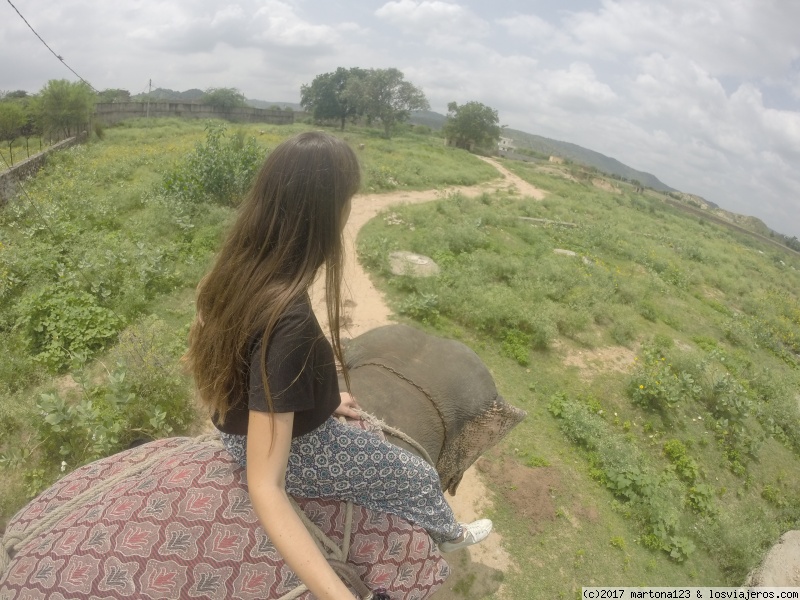 CUARTA ETAPA: JAIPUR - GRANJA DE ELEFANTES - INDIA POR LIBRE. INDESCRIPTIBLE (2)