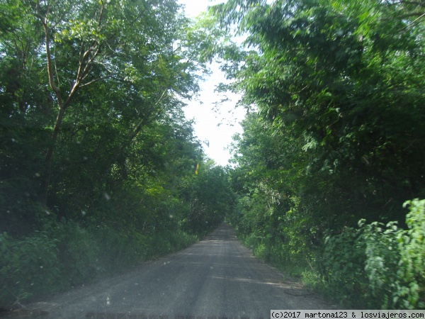 biosfera de calakmul
selva lacandona
